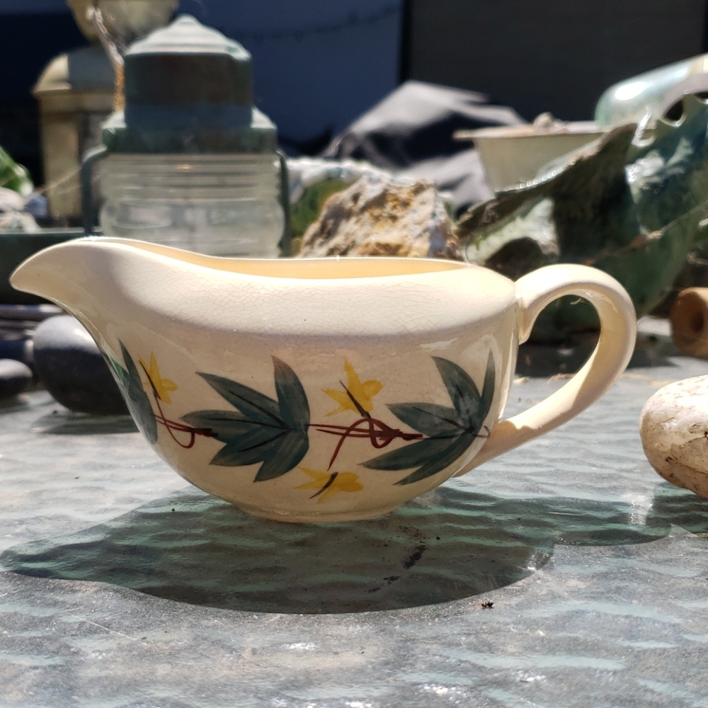 🦋 Mission Ivy Vintage creamer
